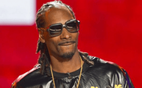 Ouça “Swivel”, nova faixa do Snoop Dogg com Stresmatic