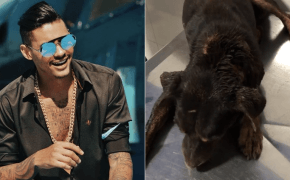 Hungria Hip Hop salva vida de cachorro abandonado e transforma ele em seu novo animal de estimação