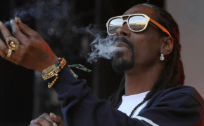 Snoop Dogg protagonizará novo filme de comédia com Matthew McConaughey