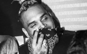 Novo álbum “Indigo” do Chris Brown terá 30 músicas