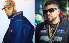 Chris Brown curte vídeo da nova música “Breezy” do Naldo e cantor reage